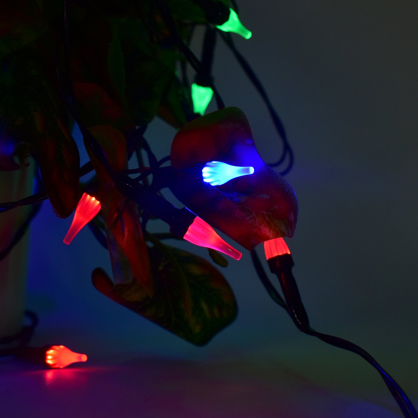 Multi-color Decorative Led String Light (8 Meter)