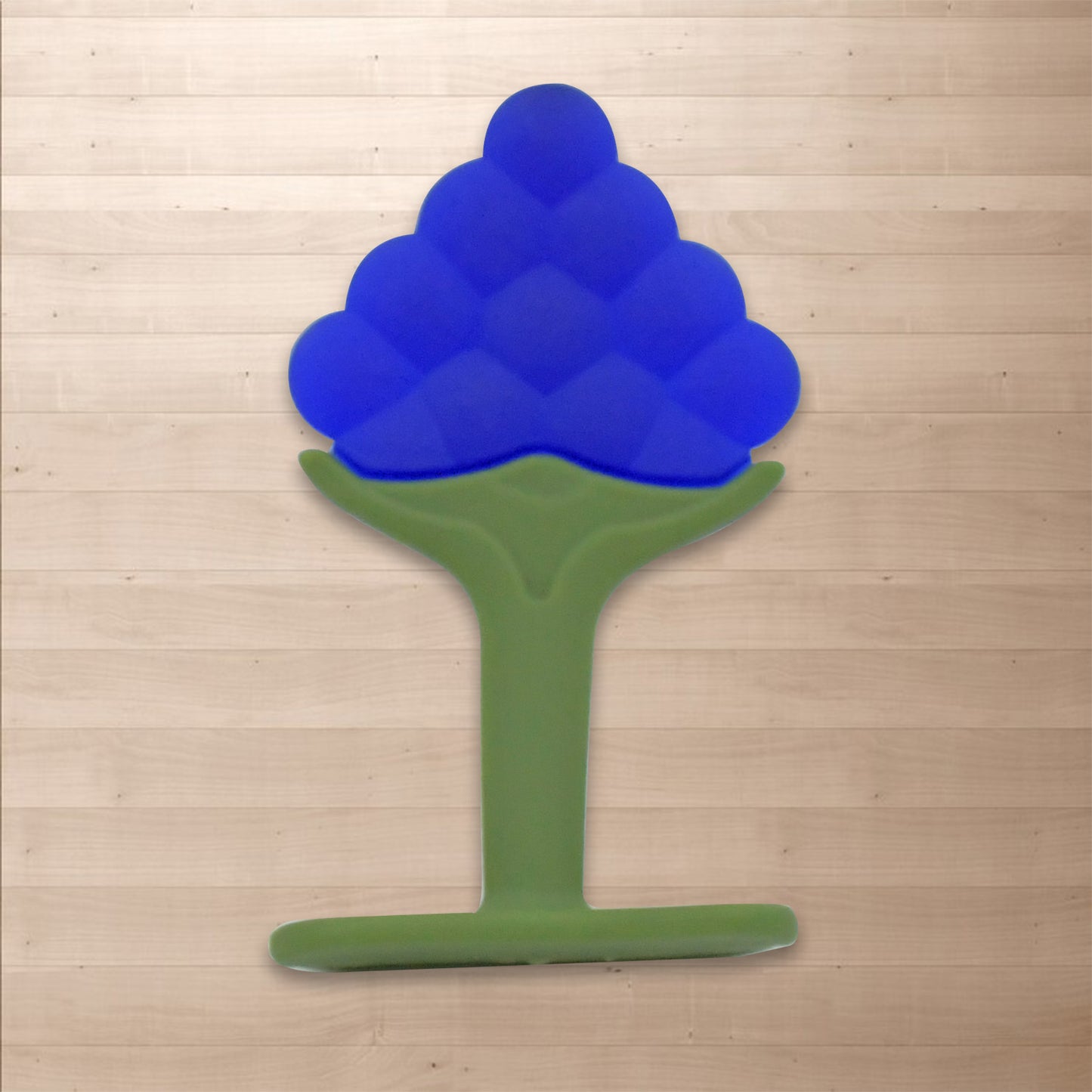 Baby Silicone Fruit Teether